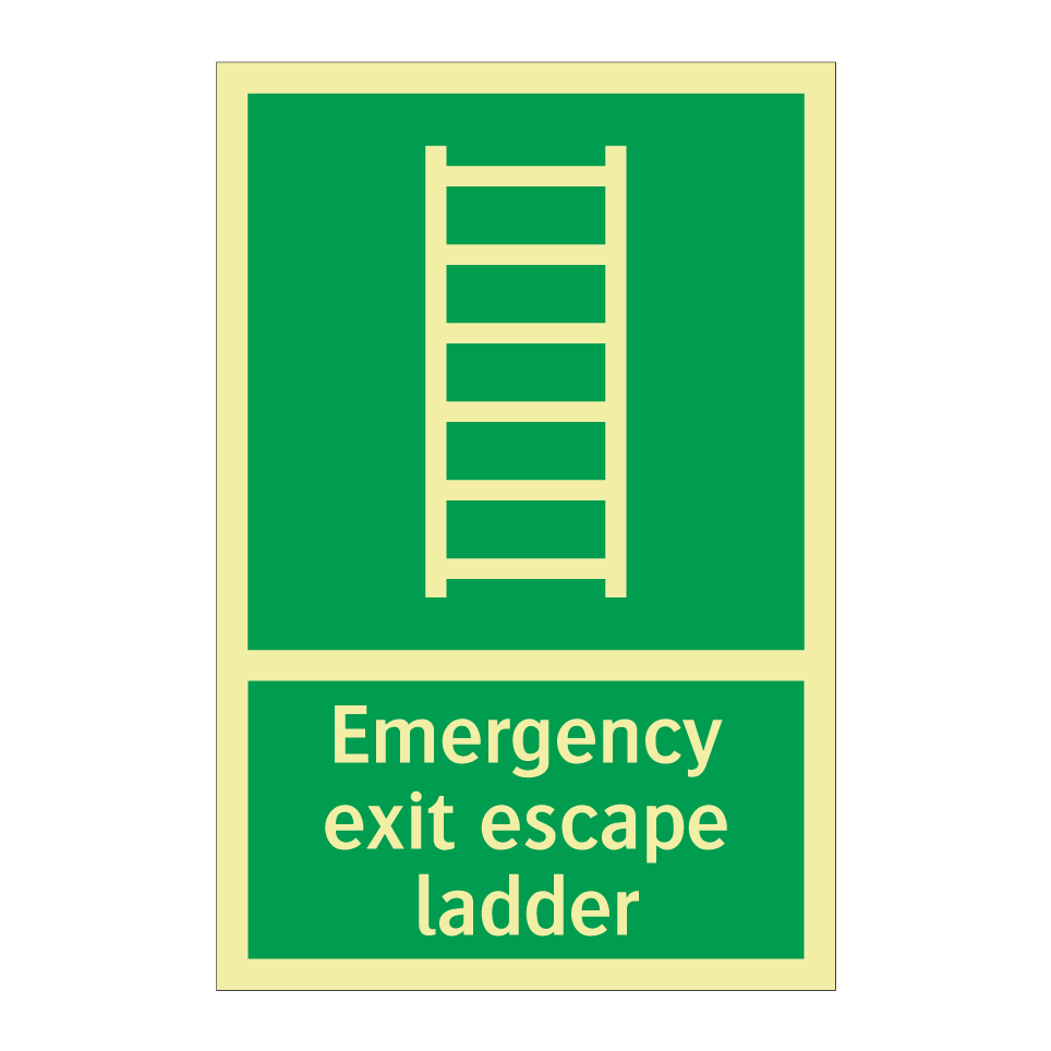Emergency exit escape ladder