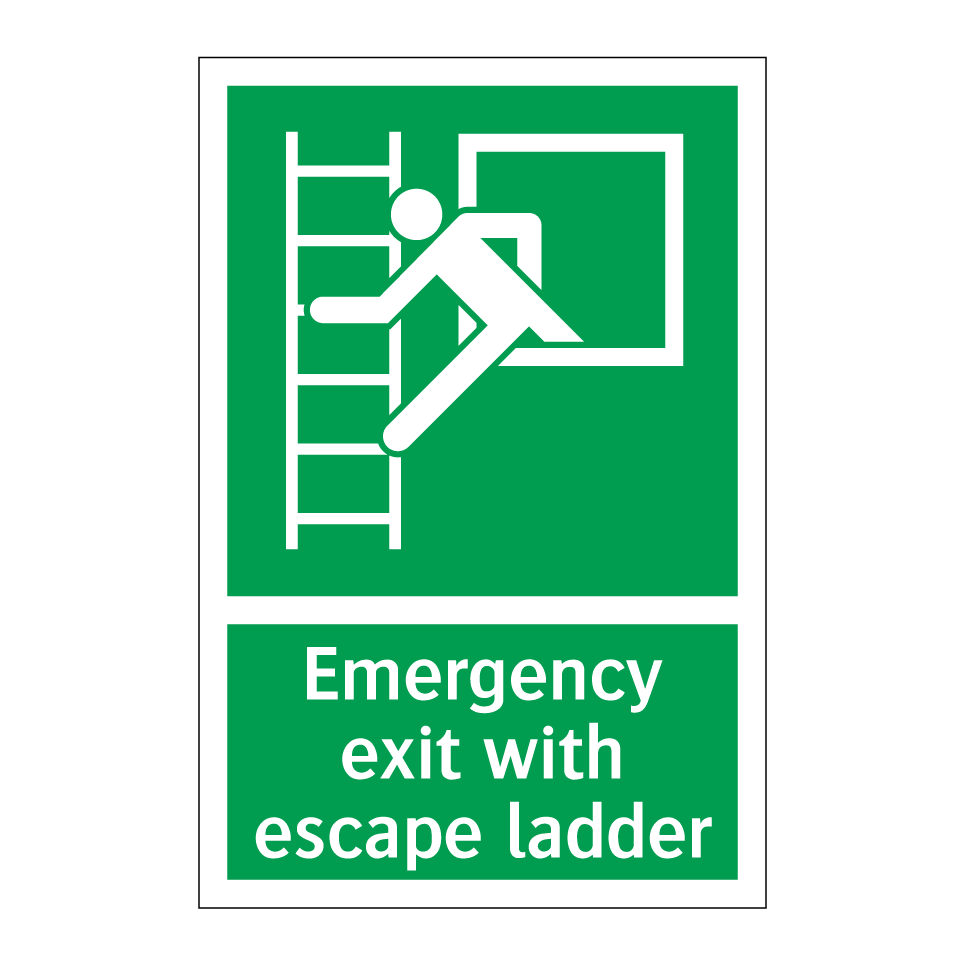 Emergency exit with escape ladder