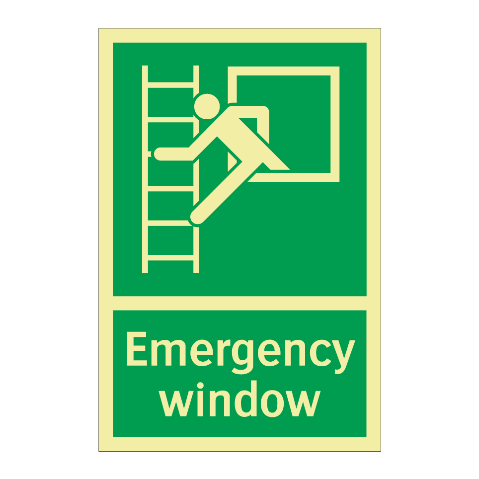 Emergency window