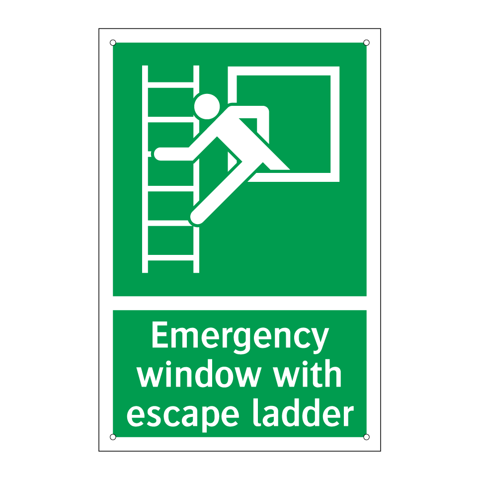 Emergency window with escape ladder