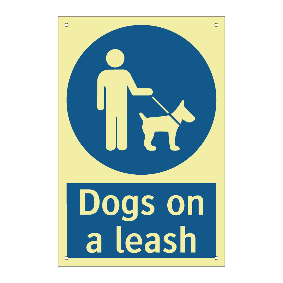 Dogs on a leash