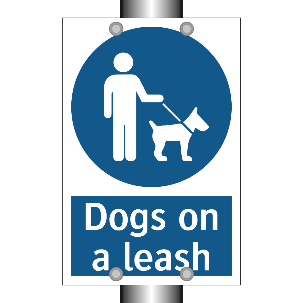 Dogs on a leash