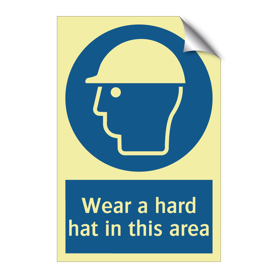 Wear a hard hat in this area