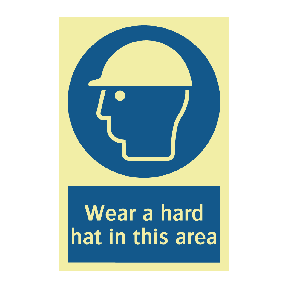 Wear a hard hat in this area