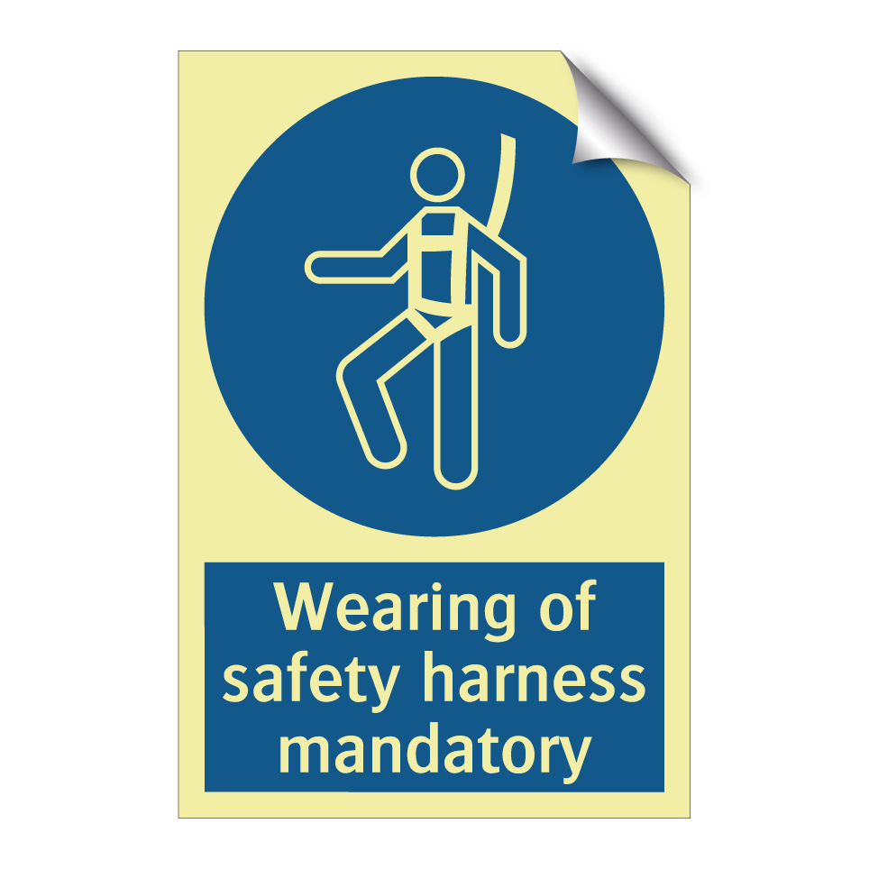 Wearing of safety harness mandatory