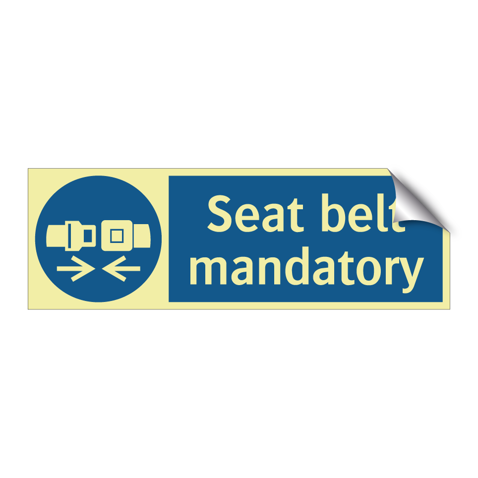 Seat belt mandatory
