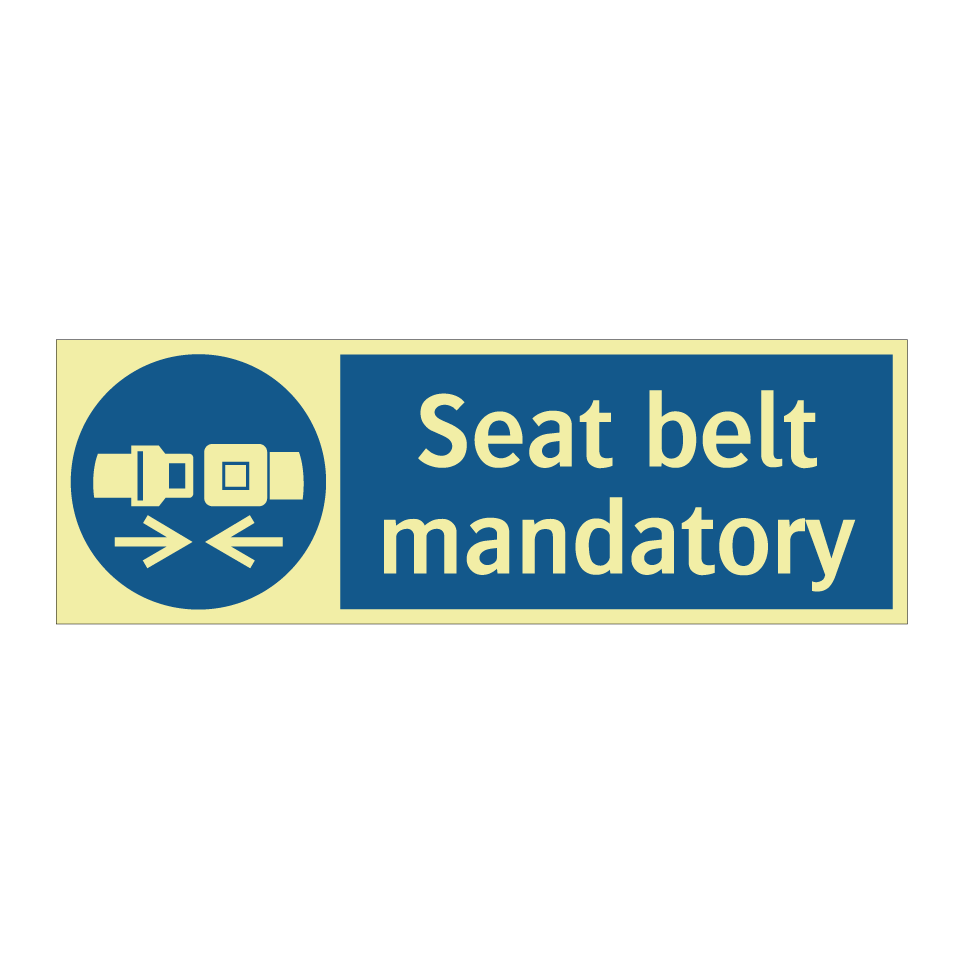 Seat belt mandatory