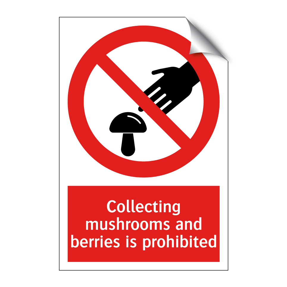 Collecting mushrooms and berries is prohibited