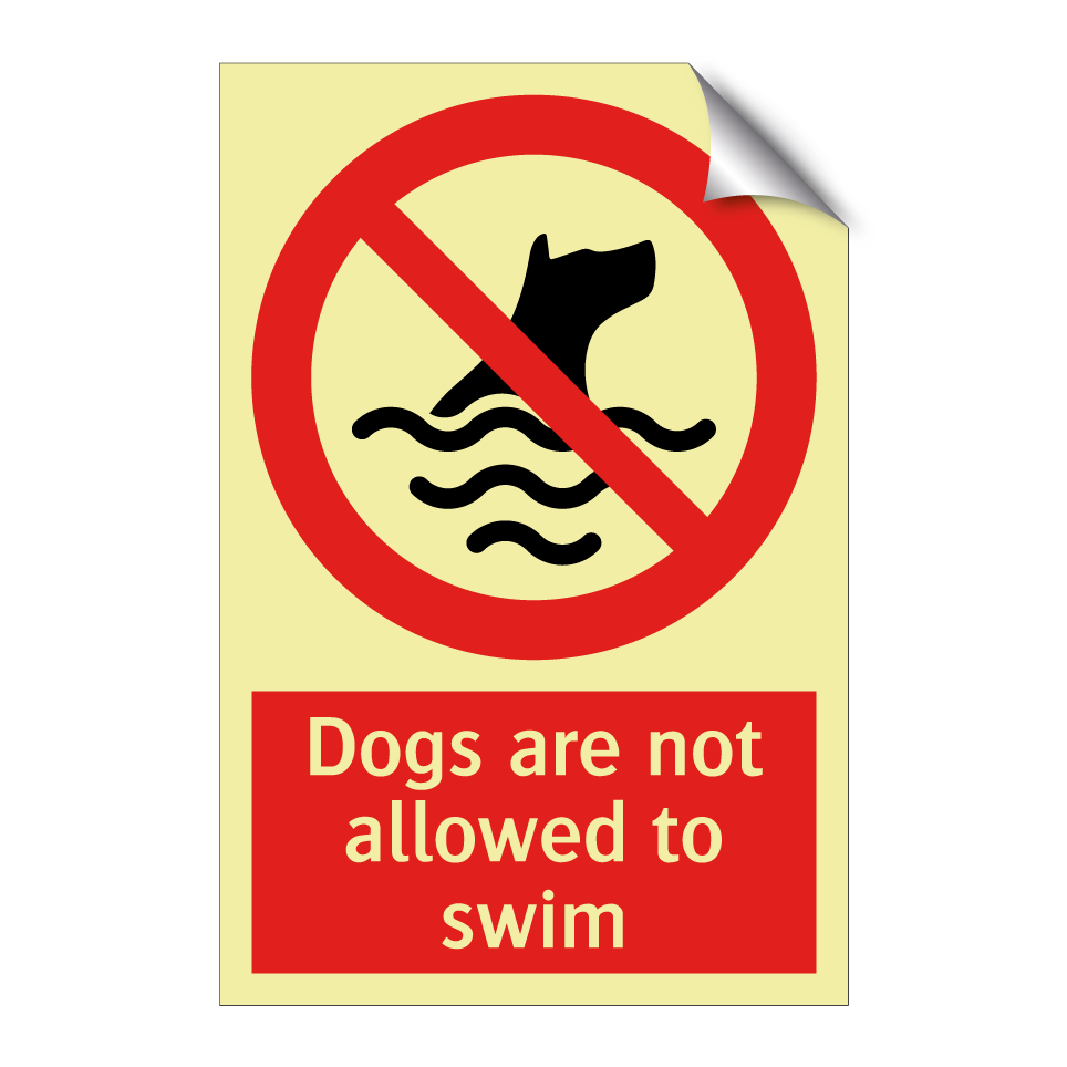 Dogs are not allowed to swim