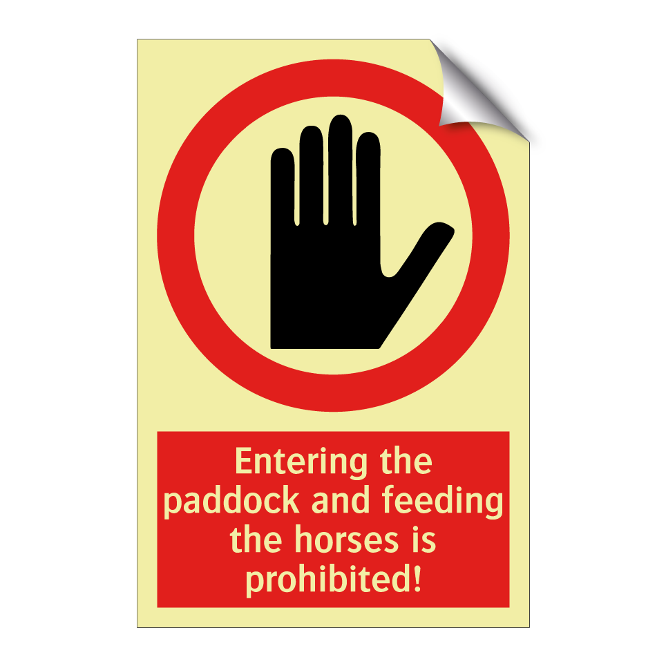 Entering the paddock and feeding the horses is prohibited!