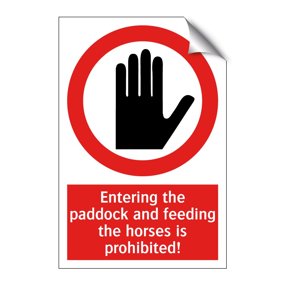 Entering the paddock and feeding the horses is prohibited!