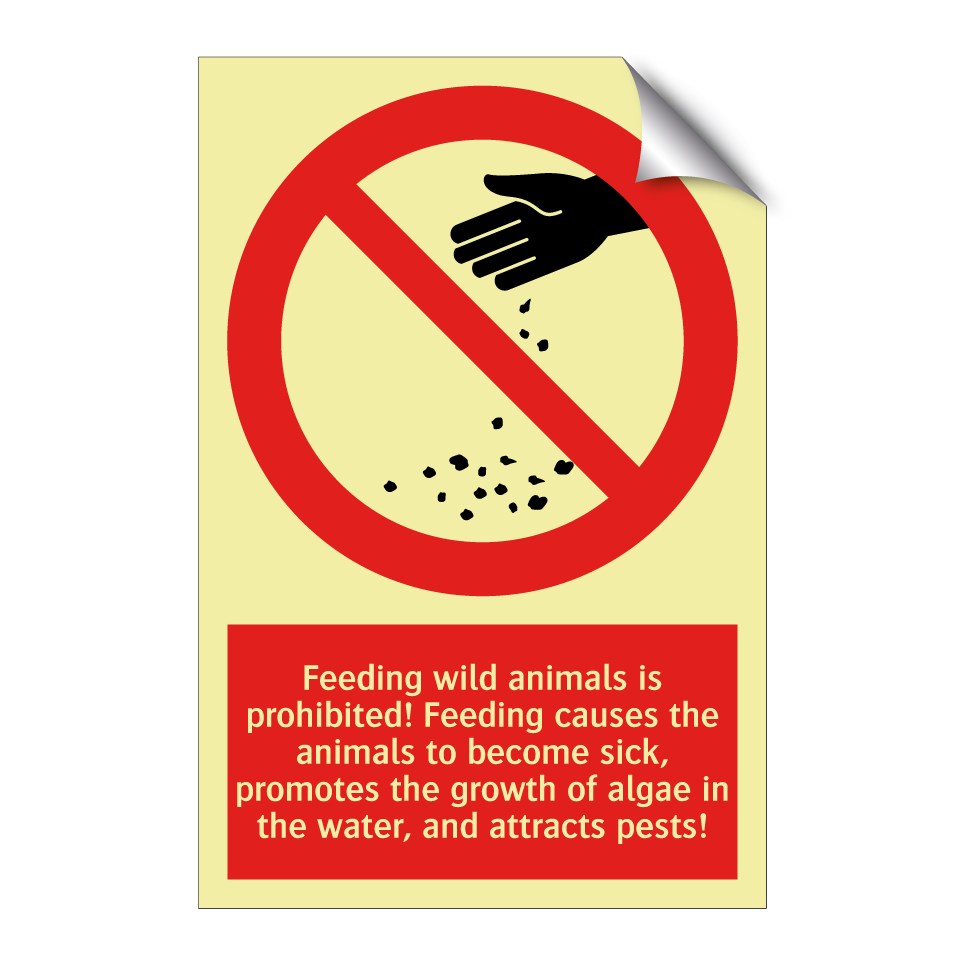 Feeding wild animals is prohibited! Feeding causes the animals to become sick, promotes the growth of algae in the water, and attracts pests!