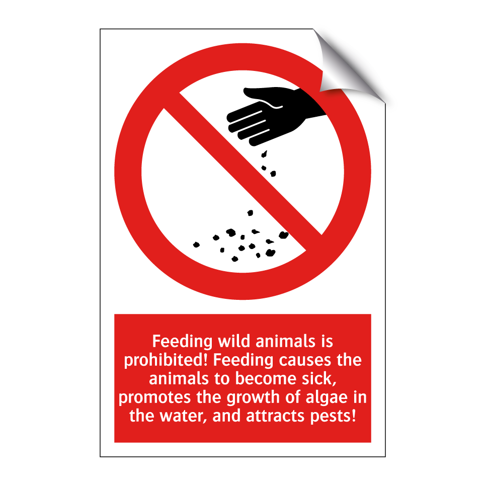 Feeding wild animals is prohibited! Feeding causes the animals to become sick, promotes the growth of algae in the water, and attracts pests!