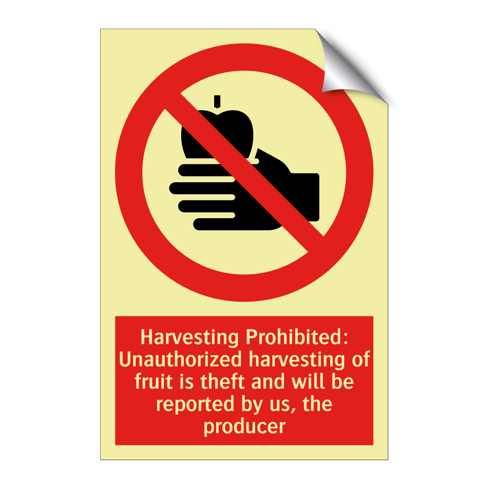 Harvesting Prohibited: Unauthorized harvesting of fruit is theft and will be reported by us, the producer