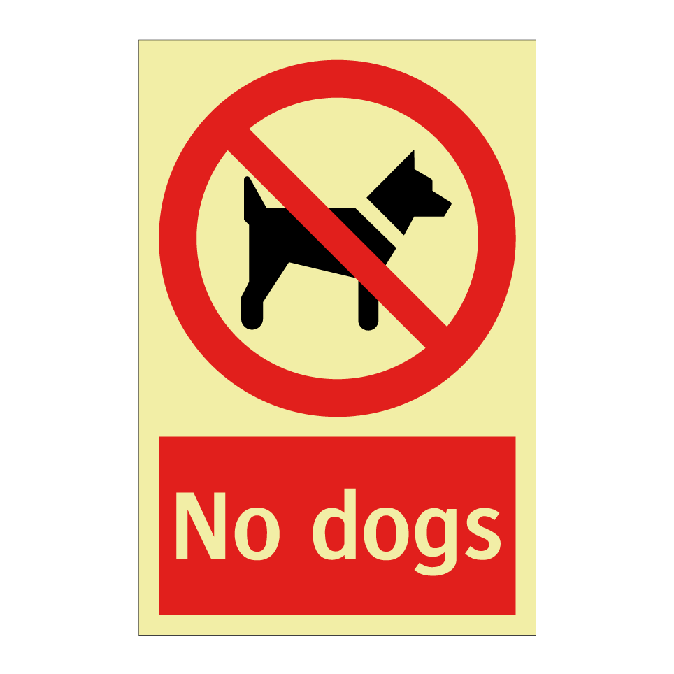 No dogs