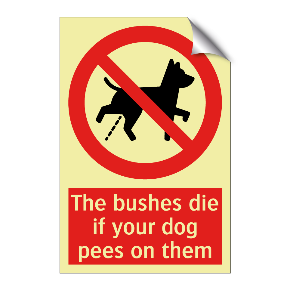 The bushes die if your dog pees on them