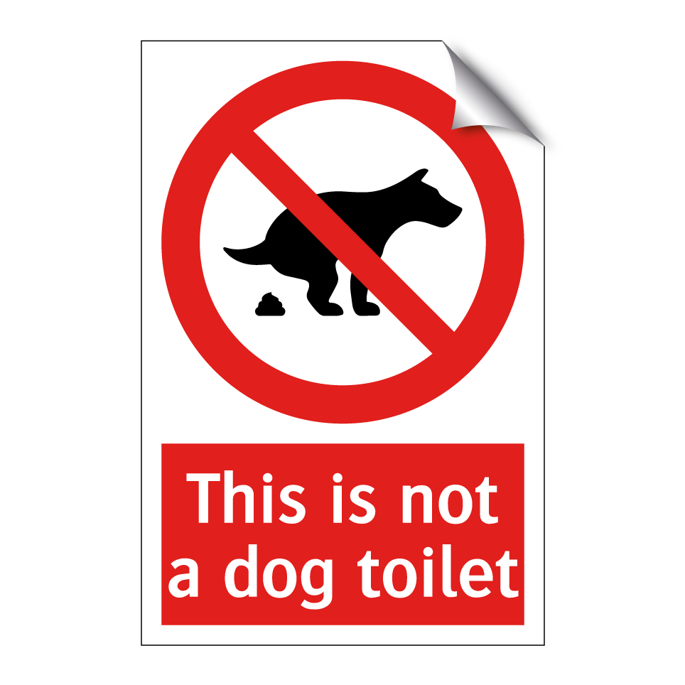 This is not a dog toilet