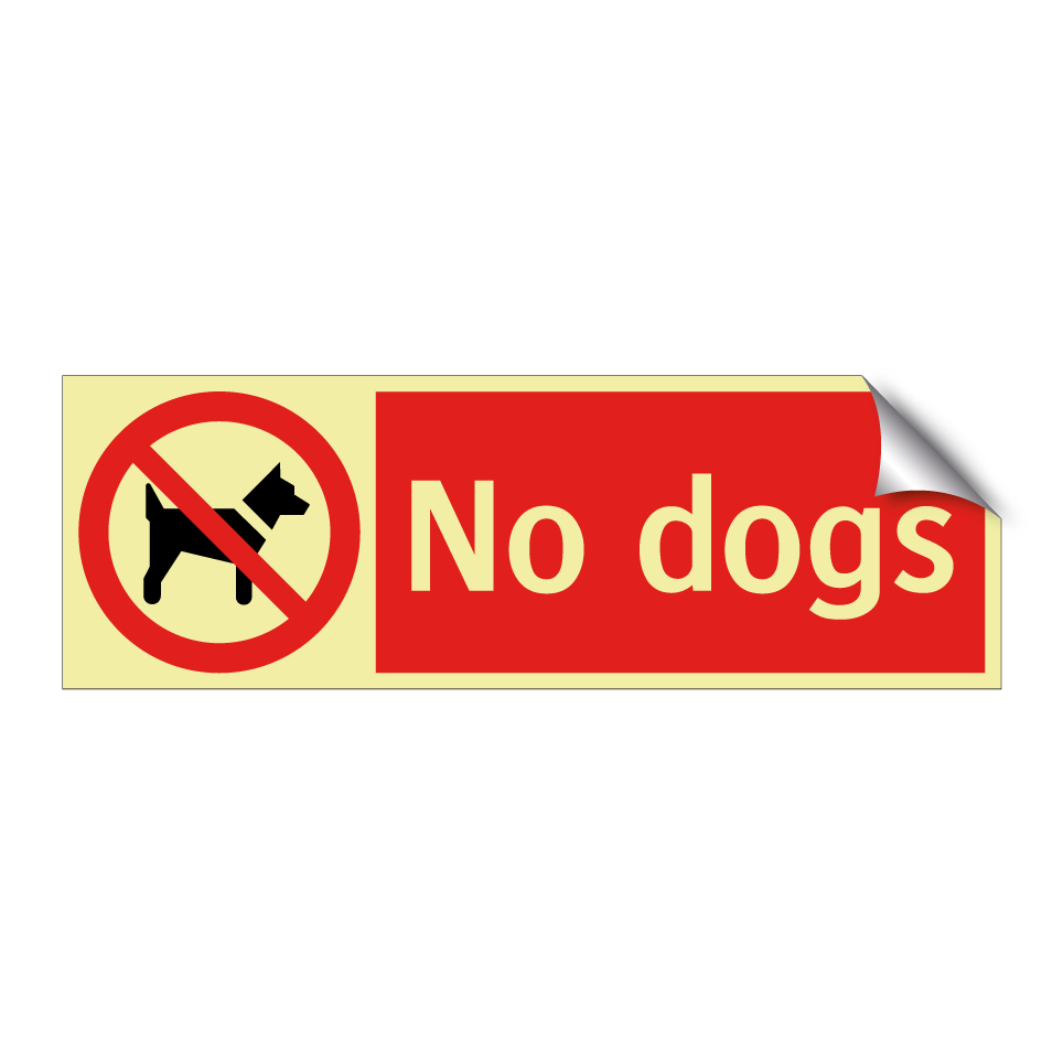 No dogs
