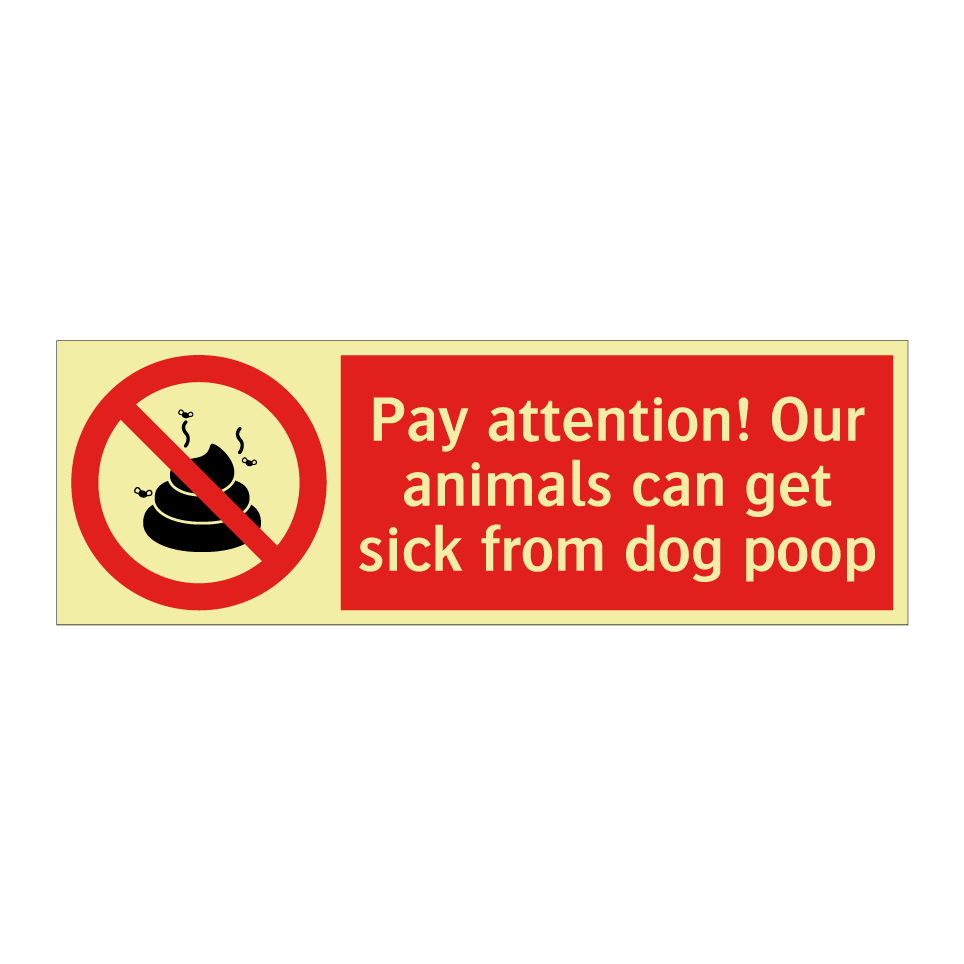 Pay attention! Our animals can get sick from dog poop