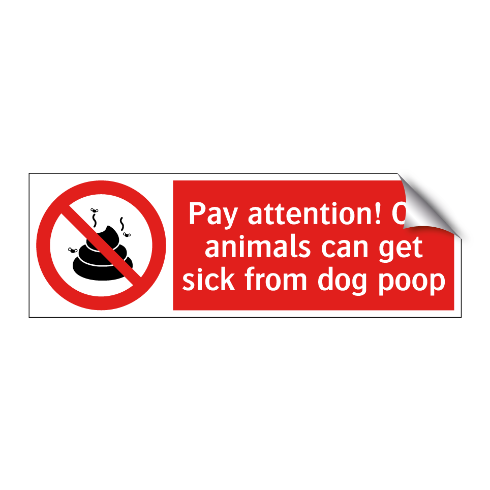Pay attention! Our animals can get sick from dog poop