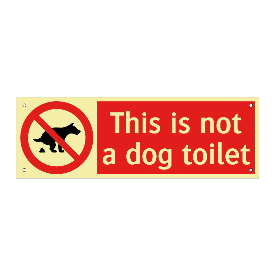 This is not a dog toilet