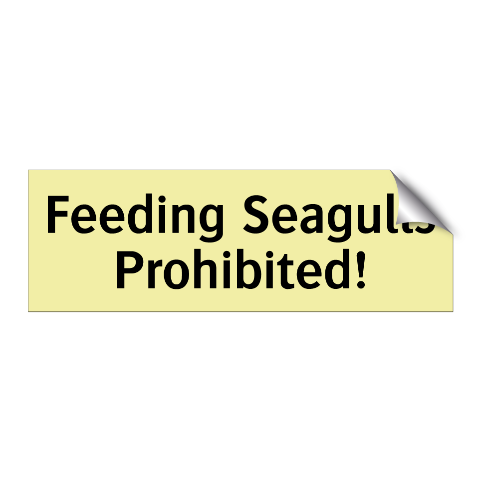 Feeding Seagulls Prohibited!