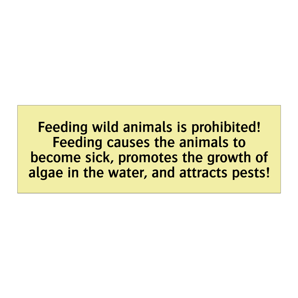 Feeding wild animals is prohibited! Feeding causes the animals to become sick, promotes the growth of algae in the water, and attracts pests!