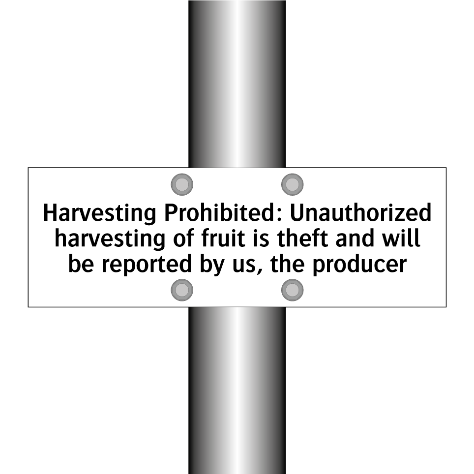 Harvesting Prohibited: Unauthorized harvesting of fruit is theft and will be reported by us, the producer