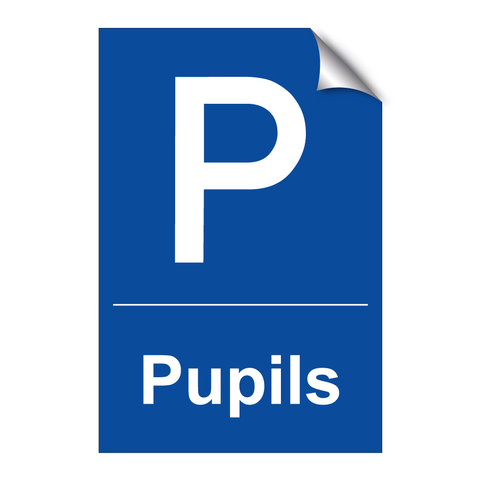 Pupils