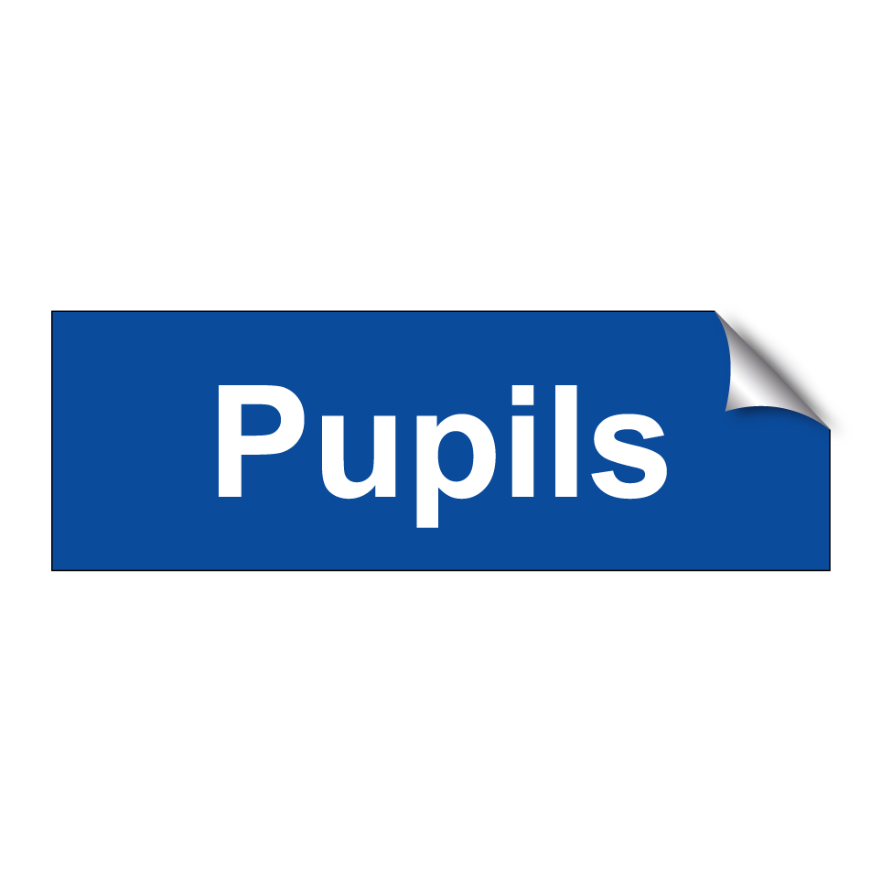 Pupils