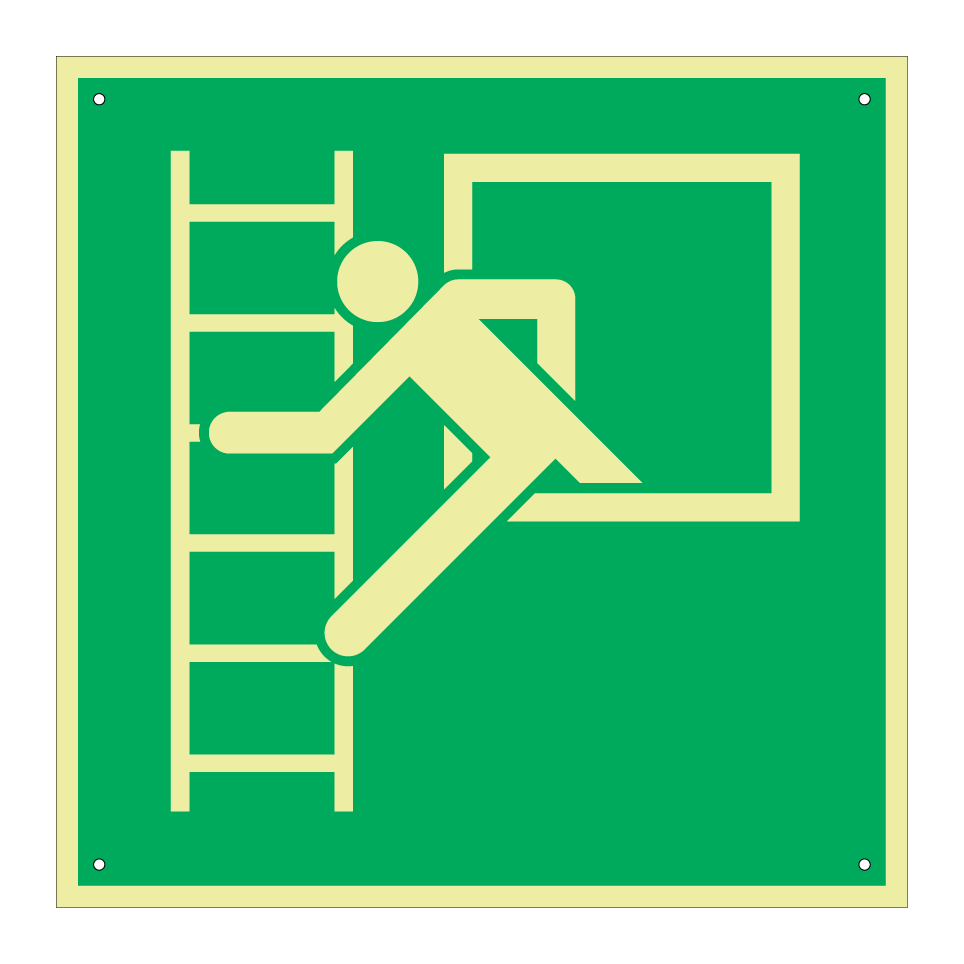 E016 Emergency window with escape ladder