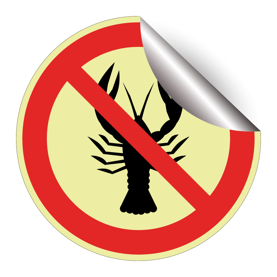 No shellfish (allergy restriction)