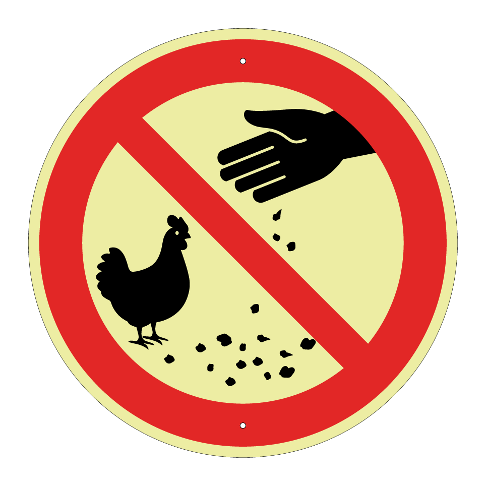 No feeding chickens
