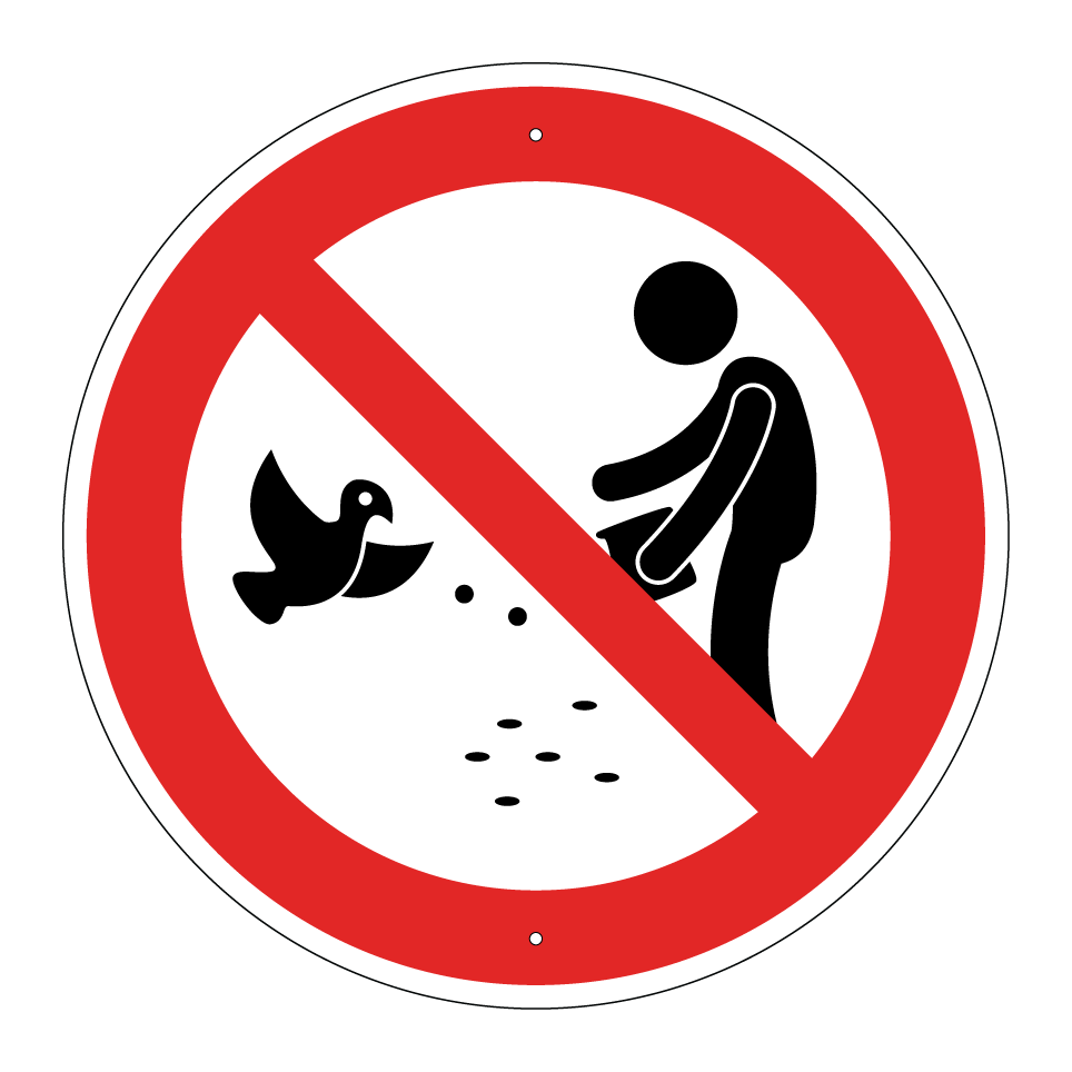 No feeding birds
