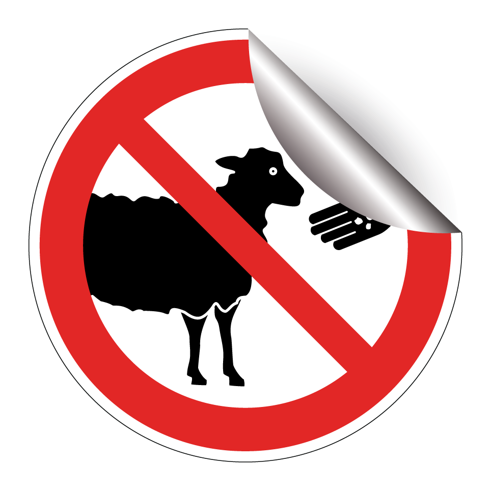 No feeding sheep