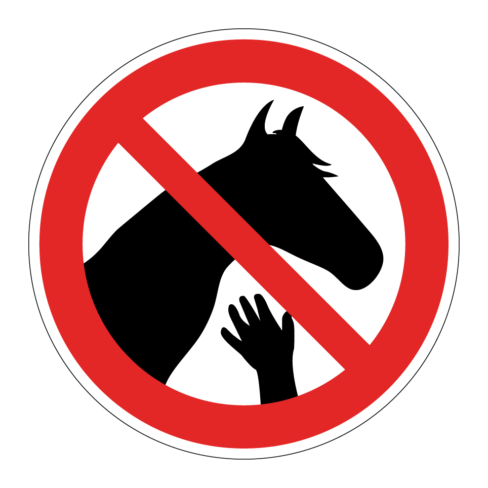 No touching horses