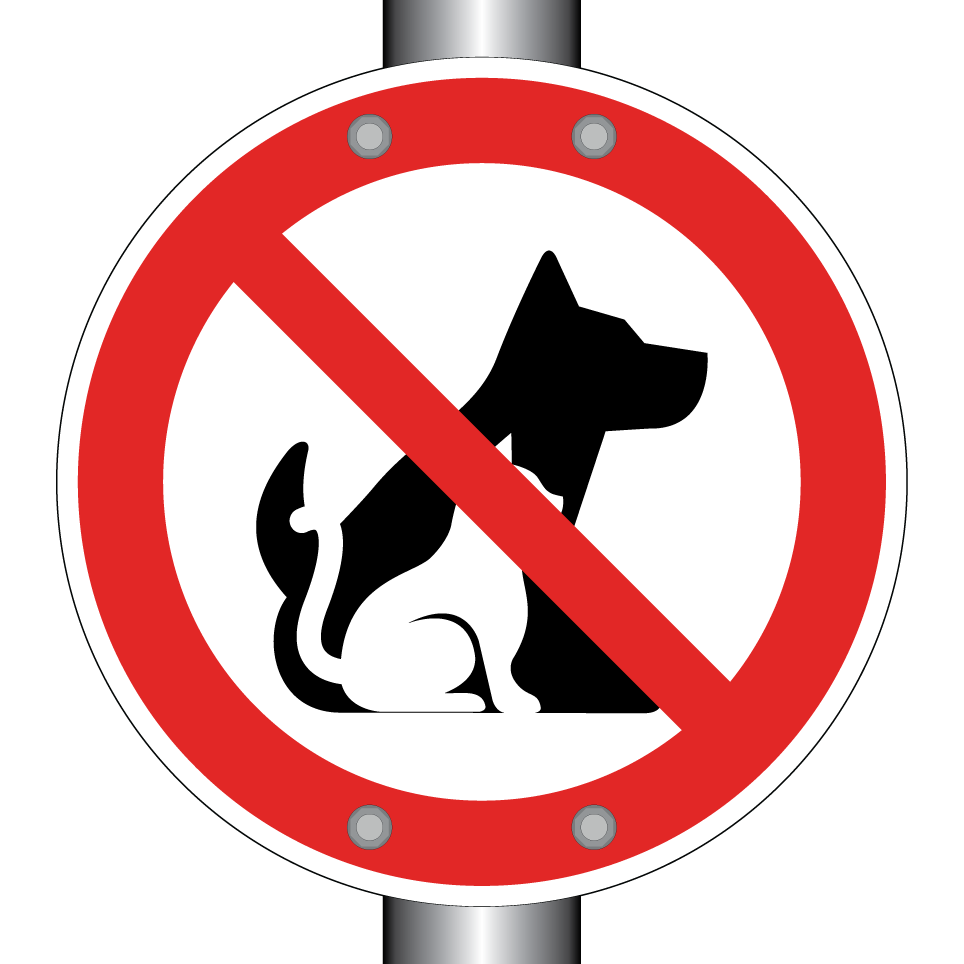 No dogs or cat allowed