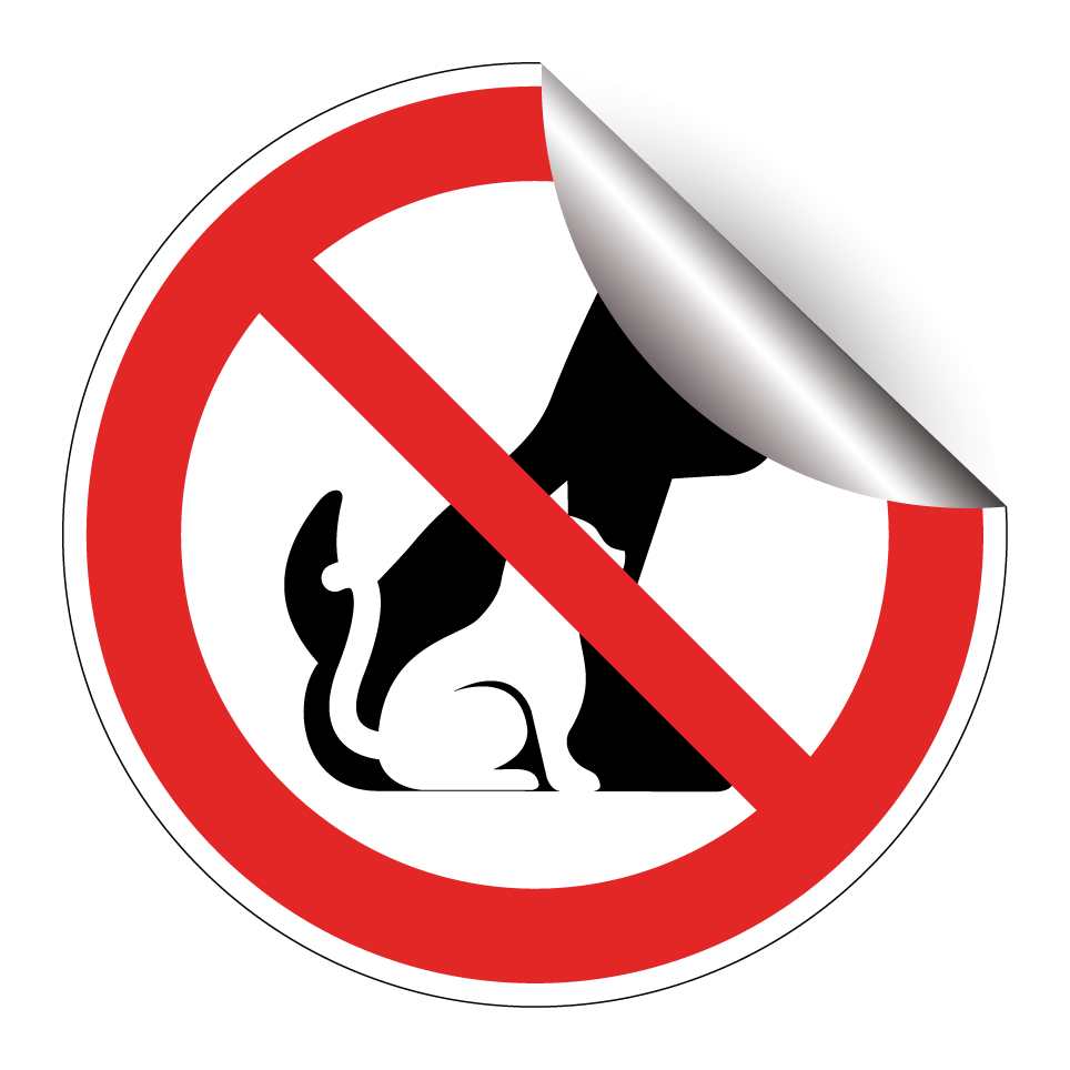 No dogs or cat allowed