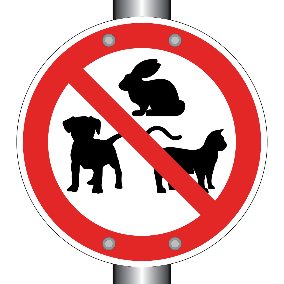 No pets