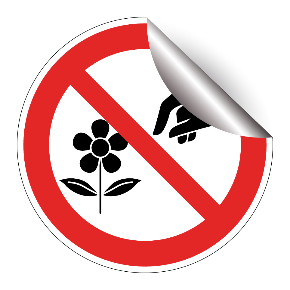 No picking flowers