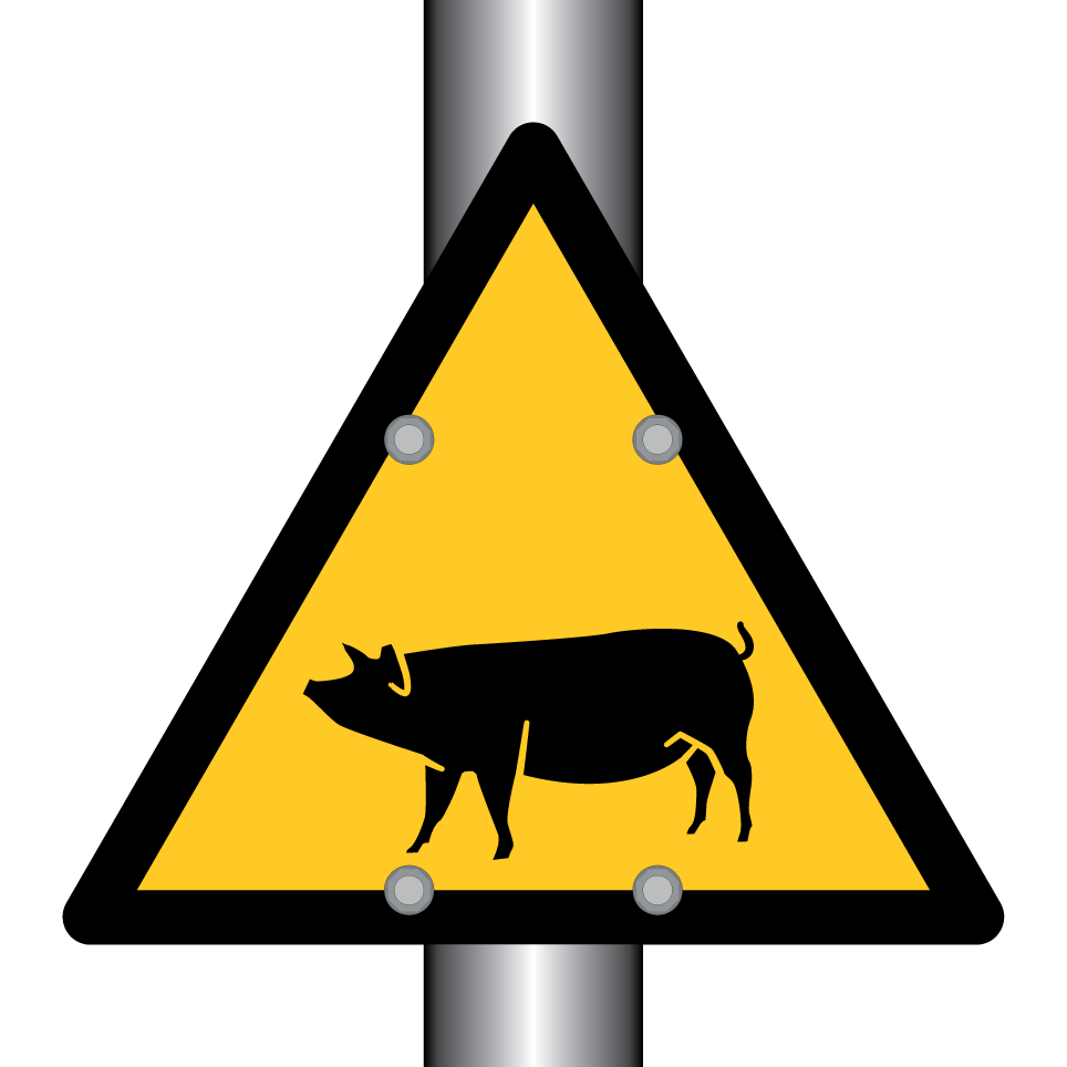Warning pig