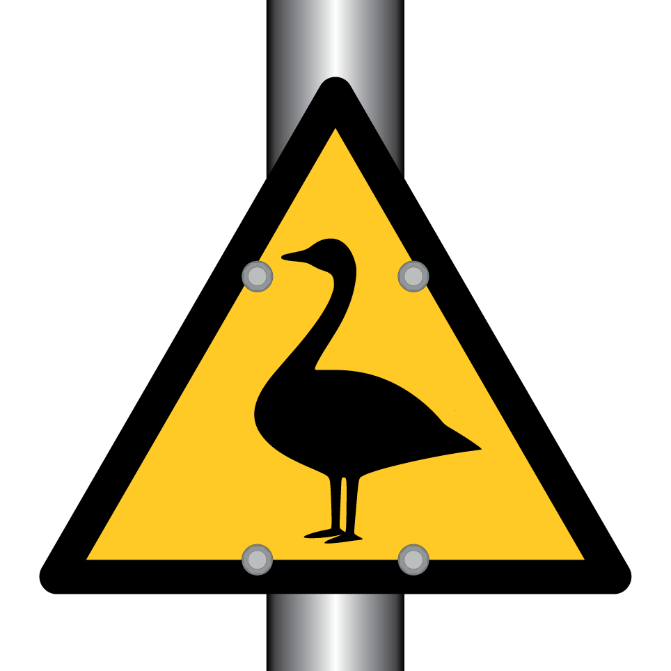 Warning goose