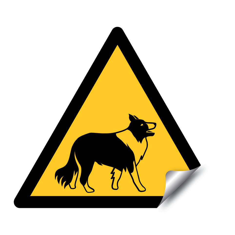 Warning collie