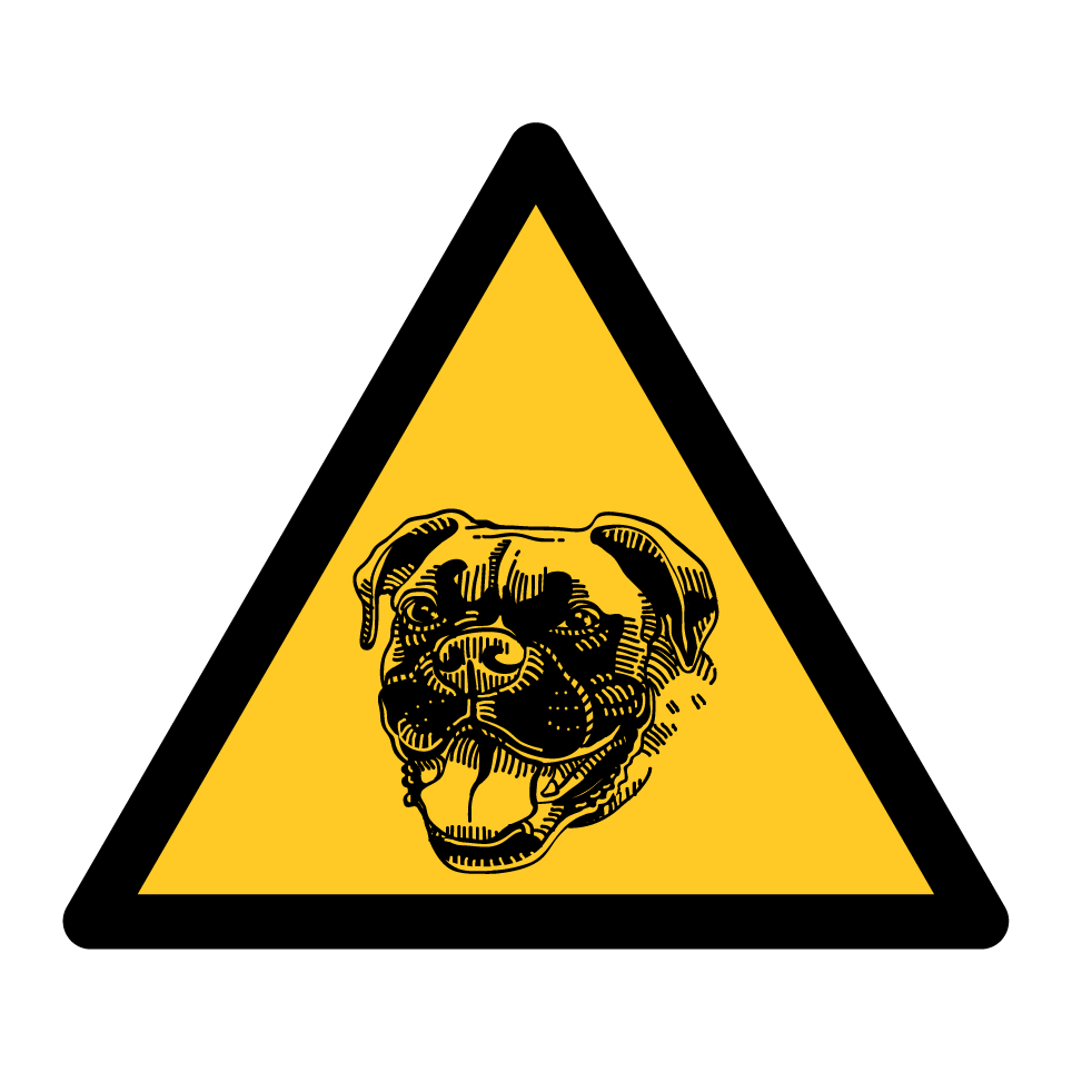 Warning boxer dog