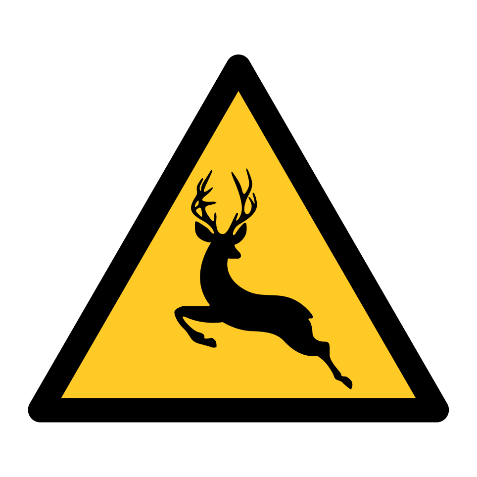 Warning deer