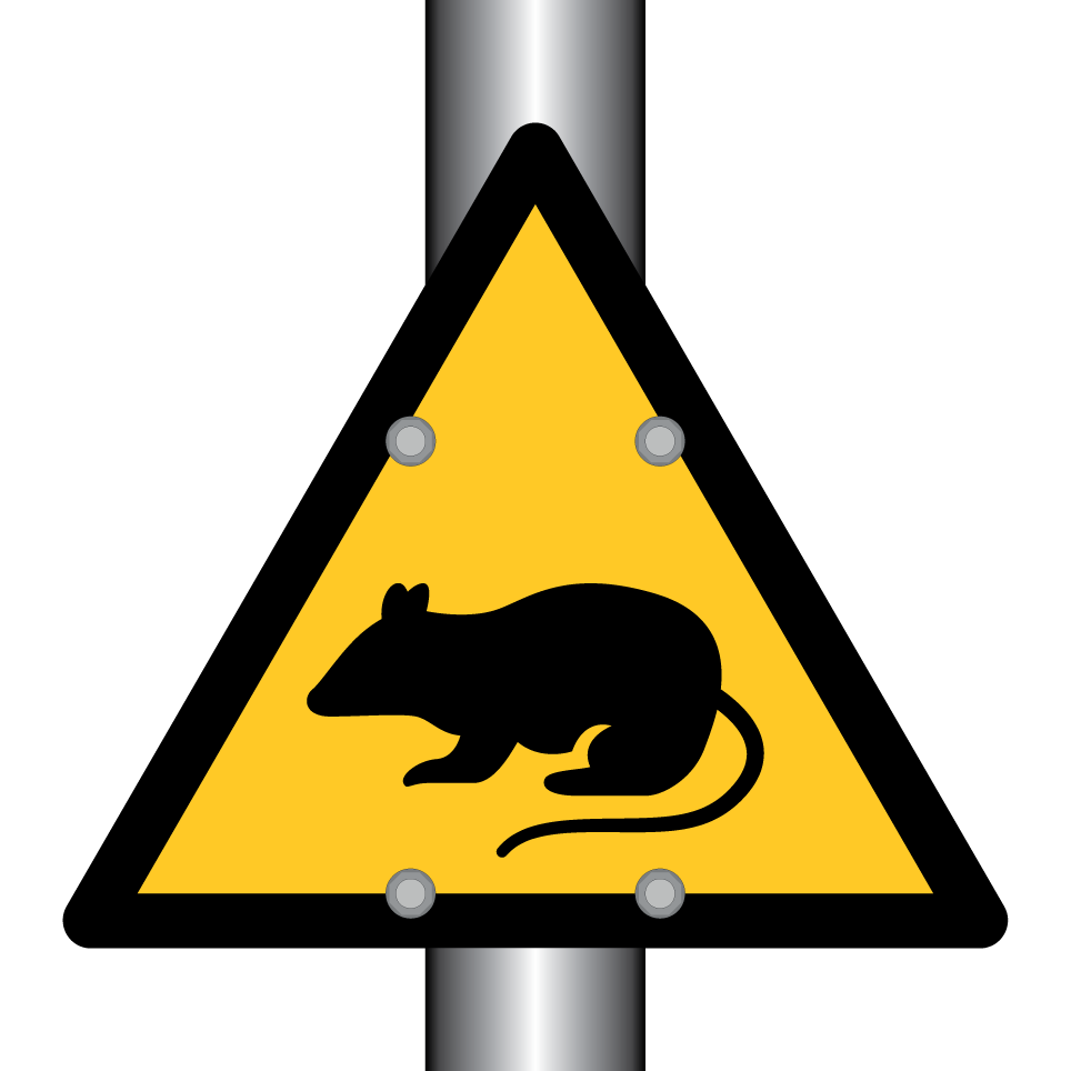Warning rat