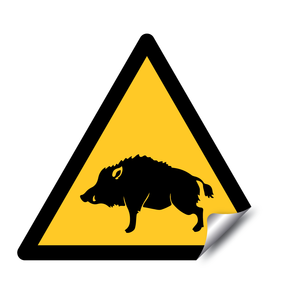 Warning wild boar