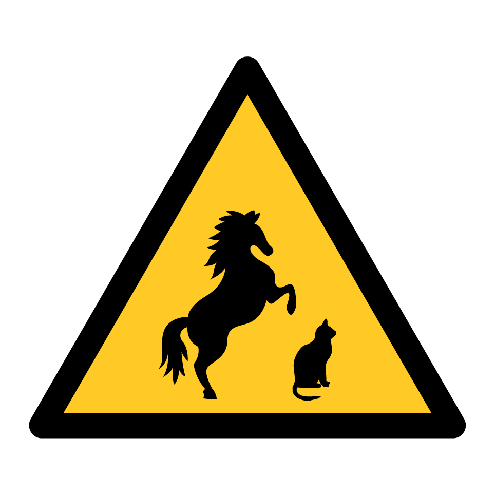 Warning animals (horse and cat)