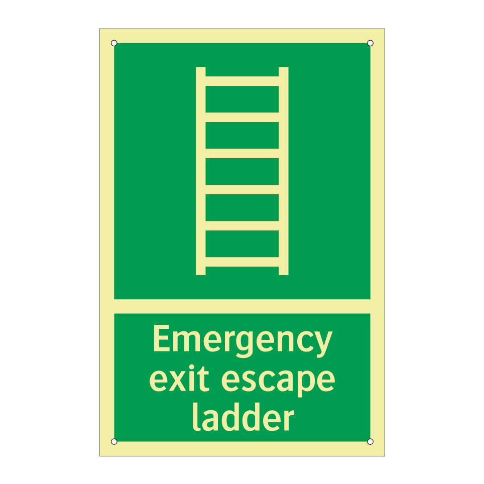 Emergency exit escape ladder