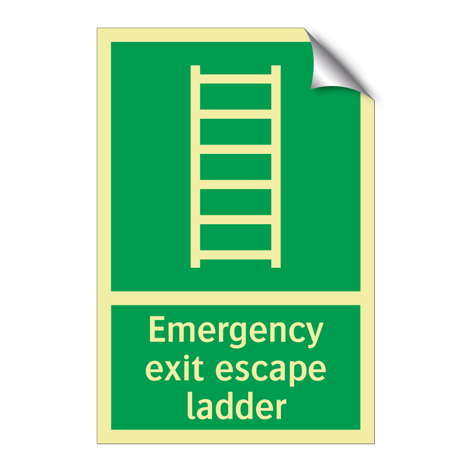 Emergency exit escape ladder